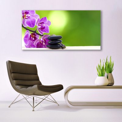 Glasbild aus Plexiglas® Blumen Steine Pflanzen