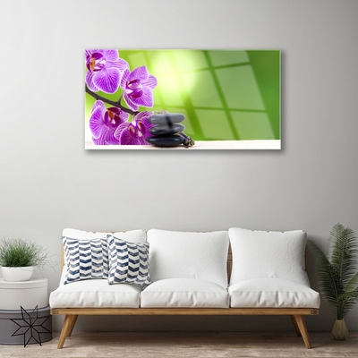 Glasbild aus Plexiglas® Blumen Steine Pflanzen