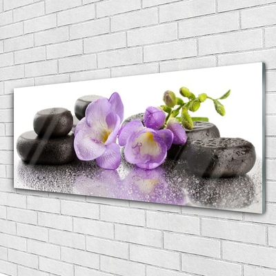 Glasbild aus Plexiglas® Blumen Steine Kunst