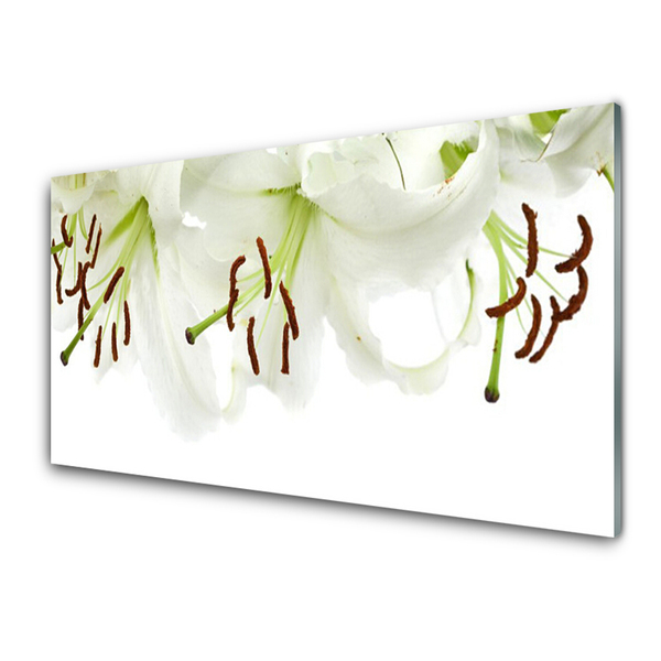 Glasbild aus Plexiglas® Blumen Pflanzen