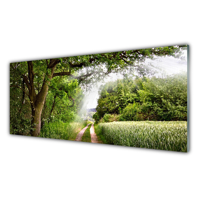 Glasbild aus Plexiglas® Bäume Fußpfad Natur
