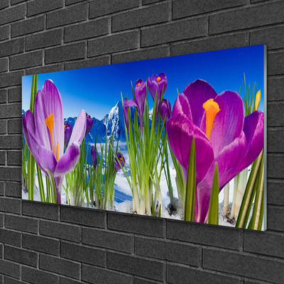 Glasbild aus Plexiglas® Blumen Pflanzen