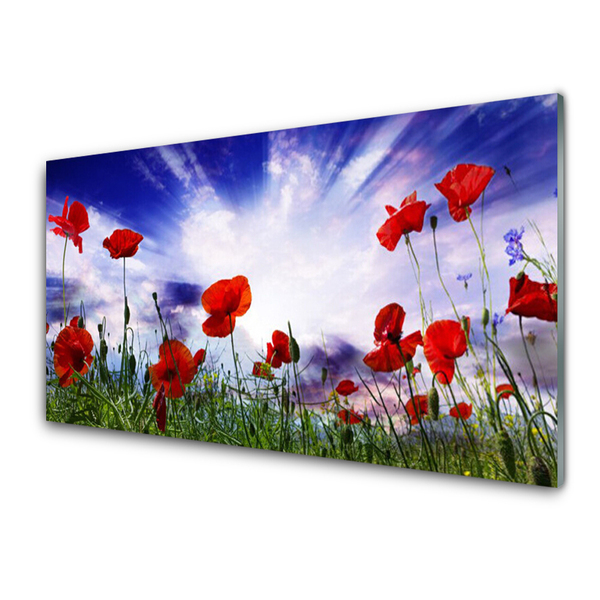 Glasbild aus Plexiglas® Mohnblumen Natur