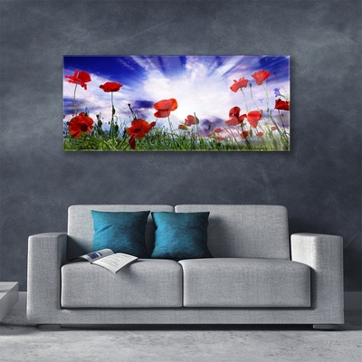 Glasbild aus Plexiglas® Mohnblumen Natur