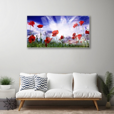 Glasbild aus Plexiglas® Mohnblumen Natur