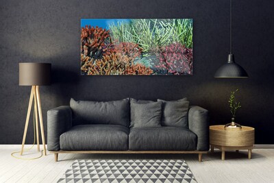 Glasbild aus Plexiglas® Korallenriff Natur