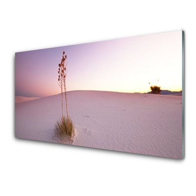 Glasbild aus Plexiglas® Wüste Landschaft