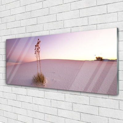 Glasbild aus Plexiglas® Wüste Landschaft