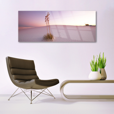 Glasbild aus Plexiglas® Wüste Landschaft