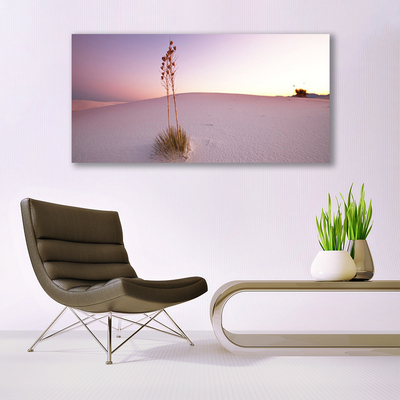 Glasbild aus Plexiglas® Wüste Landschaft