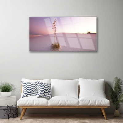 Glasbild aus Plexiglas® Wüste Landschaft