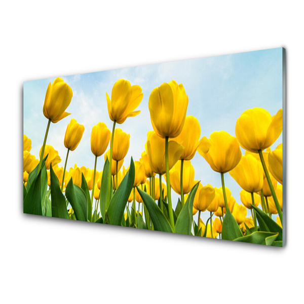 Glasbild aus Plexiglas® Tulpen Pflanzen