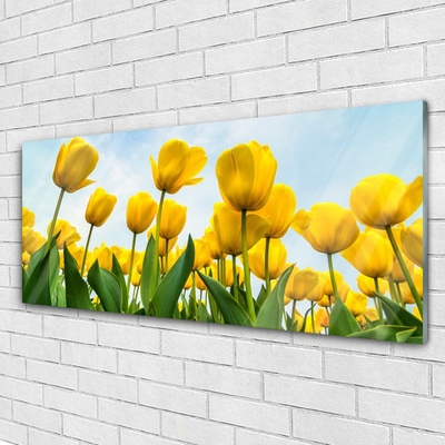 Glasbild aus Plexiglas® Tulpen Pflanzen