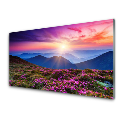 Glasbild aus Plexiglas® Gebirge Wiese Sonne Landschaft