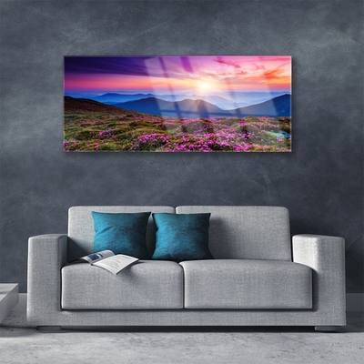 Glasbild aus Plexiglas® Gebirge Wiese Sonne Landschaft