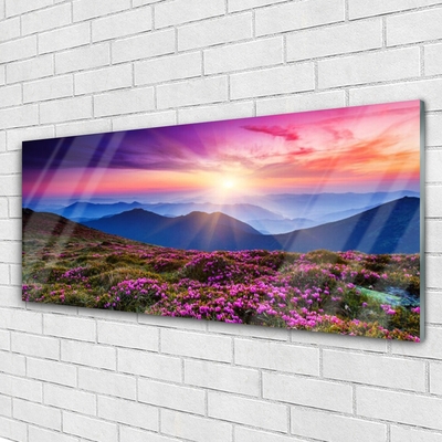 Glasbild aus Plexiglas® Gebirge Wiese Sonne Landschaft