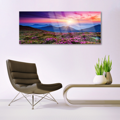 Glasbild aus Plexiglas® Gebirge Wiese Sonne Landschaft