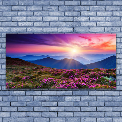 Glasbild aus Plexiglas® Gebirge Wiese Sonne Landschaft