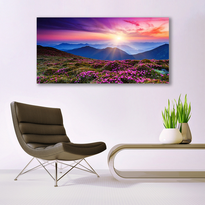 Glasbild aus Plexiglas® Gebirge Wiese Sonne Landschaft