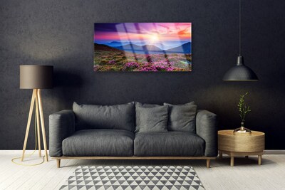 Glasbild aus Plexiglas® Gebirge Wiese Sonne Landschaft