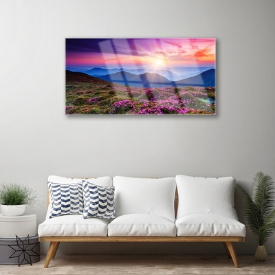 Glasbild aus Plexiglas® Gebirge Wiese Sonne Landschaft