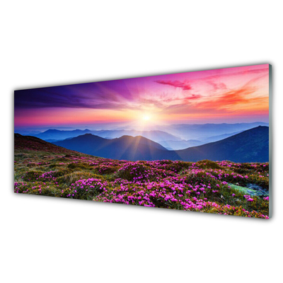 Glasbild aus Plexiglas® Gebirge Wiese Sonne Landschaft