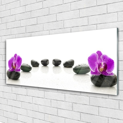 Glasbild aus Plexiglas® Blumen Steine Kunst