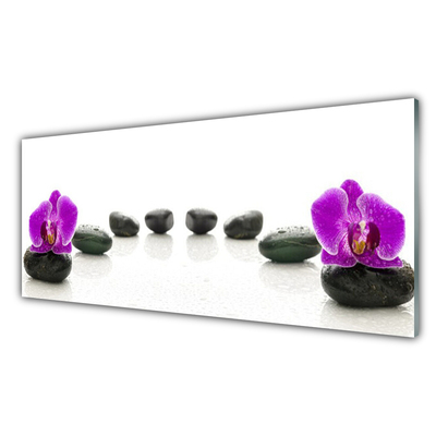 Glasbild aus Plexiglas® Blumen Steine Kunst