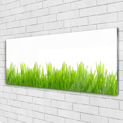 Glasbild aus Plexiglas® Gras Natur