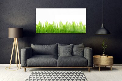 Glasbild aus Plexiglas® Gras Natur