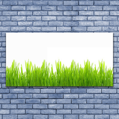 Glasbild aus Plexiglas® Gras Natur