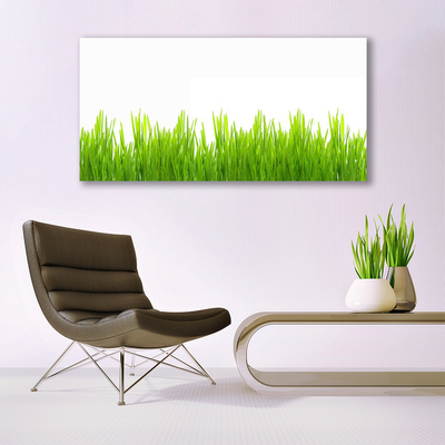 Glasbild aus Plexiglas® Gras Natur