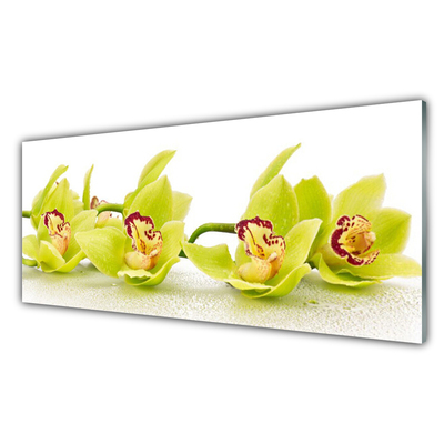 Glasbild aus Plexiglas® Blumen Pflanzen