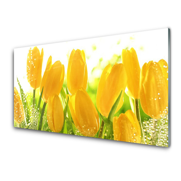 Glasbild aus Plexiglas® Tulpen Pflanzen