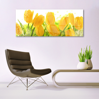 Glasbild aus Plexiglas® Tulpen Pflanzen