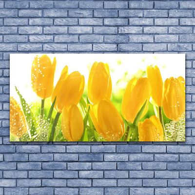 Glasbild aus Plexiglas® Tulpen Pflanzen