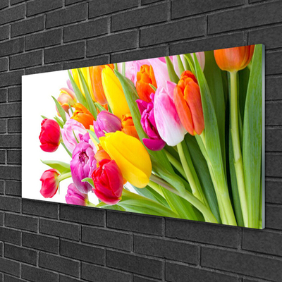 Glasbild aus Plexiglas® Tulpen Pflanzen