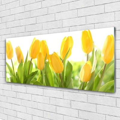 Glasbild aus Plexiglas® Tulpen Pflanzen