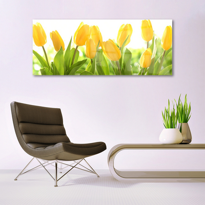 Glasbild aus Plexiglas® Tulpen Pflanzen