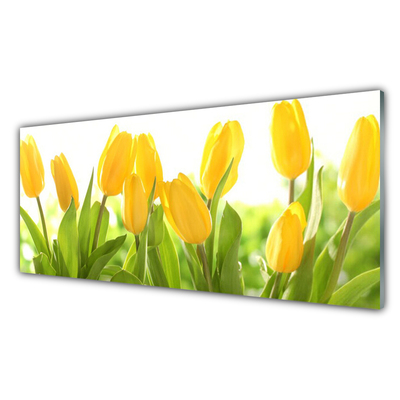 Glasbild aus Plexiglas® Tulpen Pflanzen