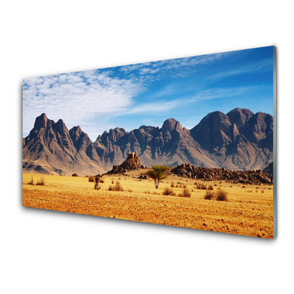 Glasbild aus Plexiglas® Wüste Landschaft