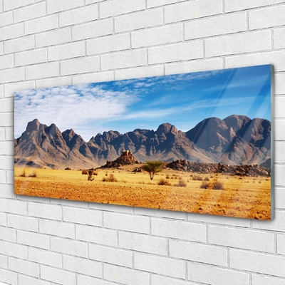 Glasbild aus Plexiglas® Wüste Landschaft