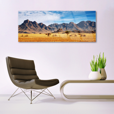 Glasbild aus Plexiglas® Wüste Landschaft