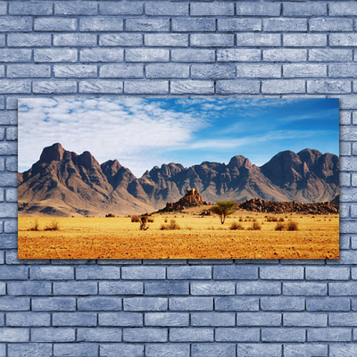 Glasbild aus Plexiglas® Wüste Landschaft