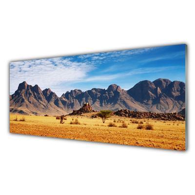 Glasbild aus Plexiglas® Wüste Landschaft