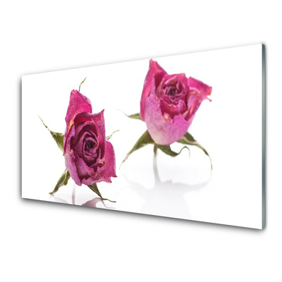 Glasbild aus Plexiglas® Rosen Pflanzen