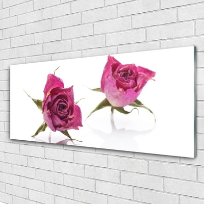 Glasbild aus Plexiglas® Rosen Pflanzen