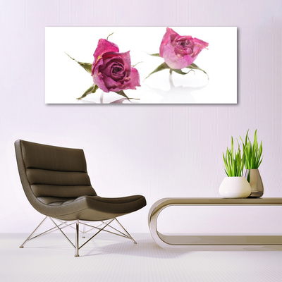 Glasbild aus Plexiglas® Rosen Pflanzen