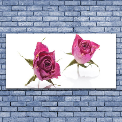 Glasbild aus Plexiglas® Rosen Pflanzen