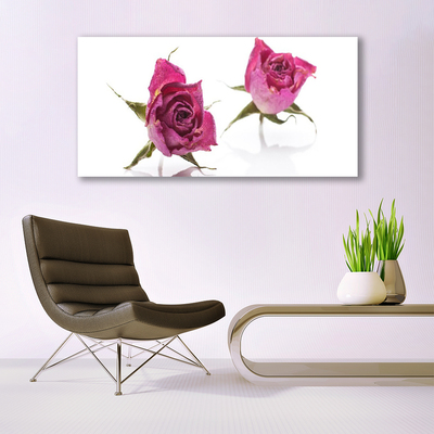 Glasbild aus Plexiglas® Rosen Pflanzen